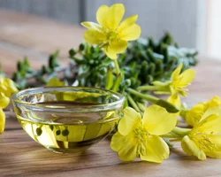 Carrier Oils