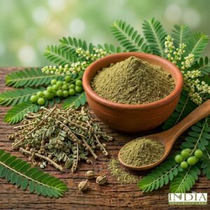 bhumi amla extract dp (phyllanthus niruri)