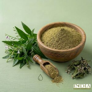 kalmegh extract dp (andrographis paniculata)