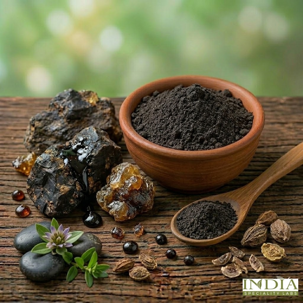 shilajit extract dp (asphaltum punjabianum) shilajit extract dp (asphaltum punjabianum)