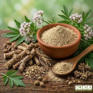 valerian extract dp (valeriana officinalis)