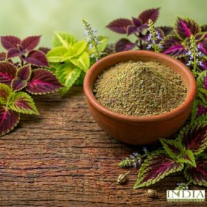 coleus extract dp (coleus forskohlii)
